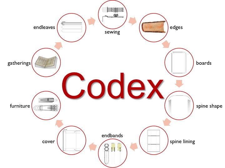 Codex wheel by Alberto Campagnolo